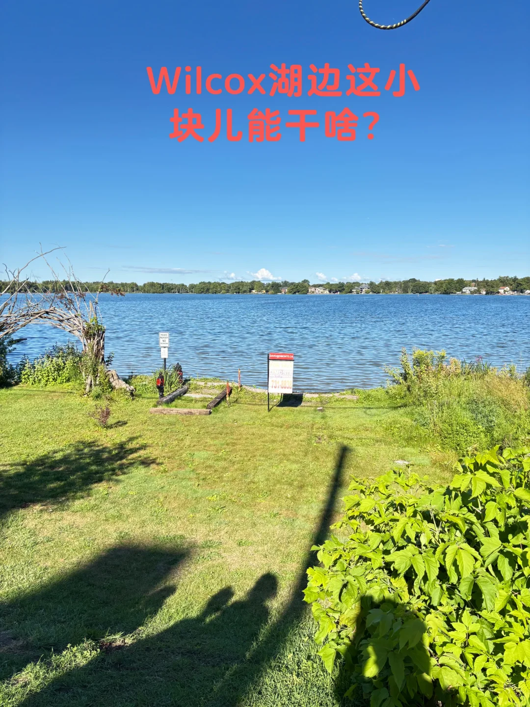 看不懂的🇨🇦房市，专家请指教
