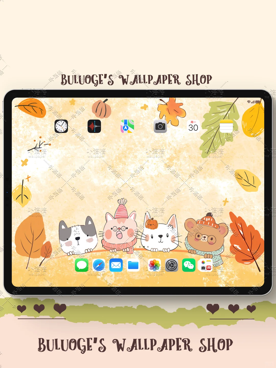 你好秋天｜iPad壁纸✨🍂
