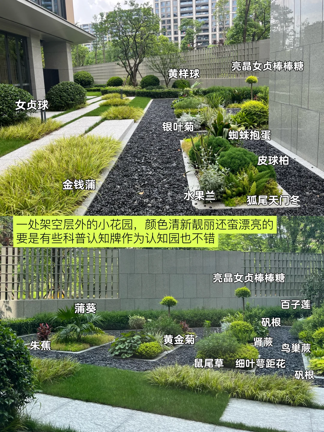 超详细的杭州豪宅的小区绿化解析～快收藏！