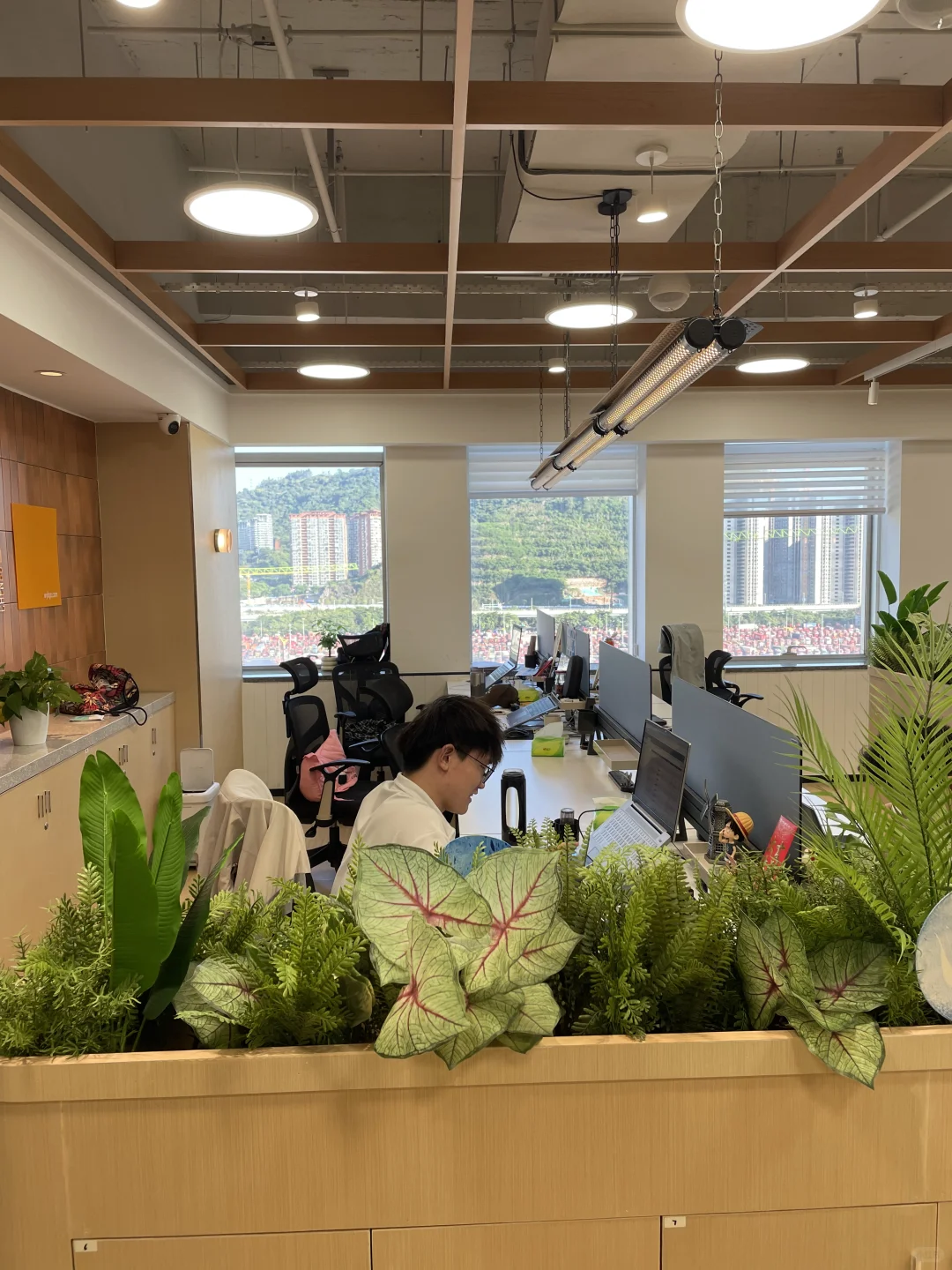 讲真的，我真的太喜欢在这里办公啦😍😍🥰