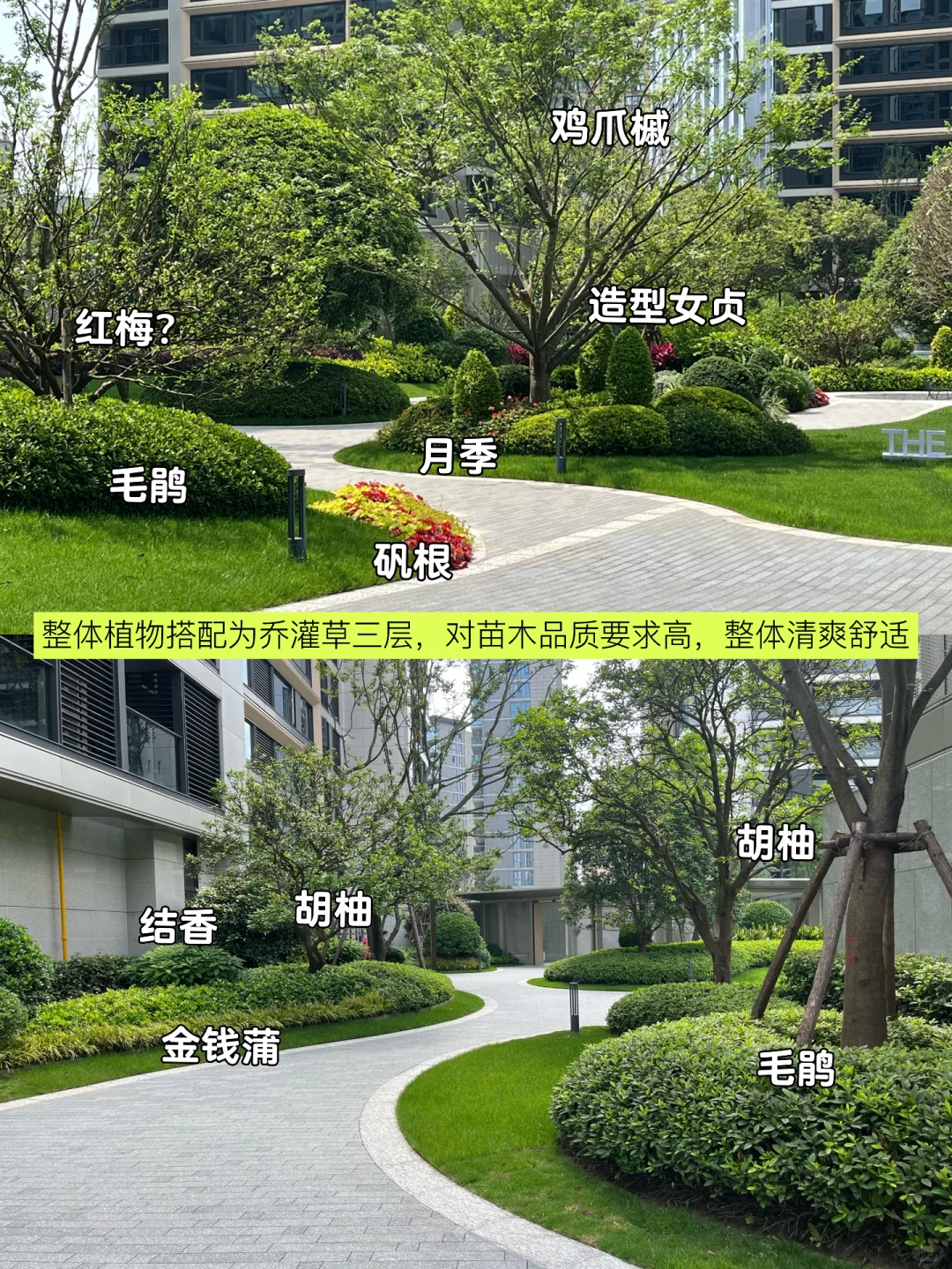超详细的杭州豪宅的小区绿化解析～快收藏！