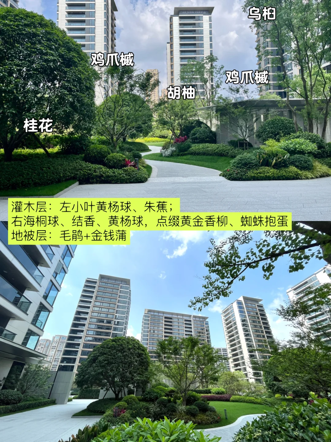 超详细的杭州豪宅的小区绿化解析～快收藏！