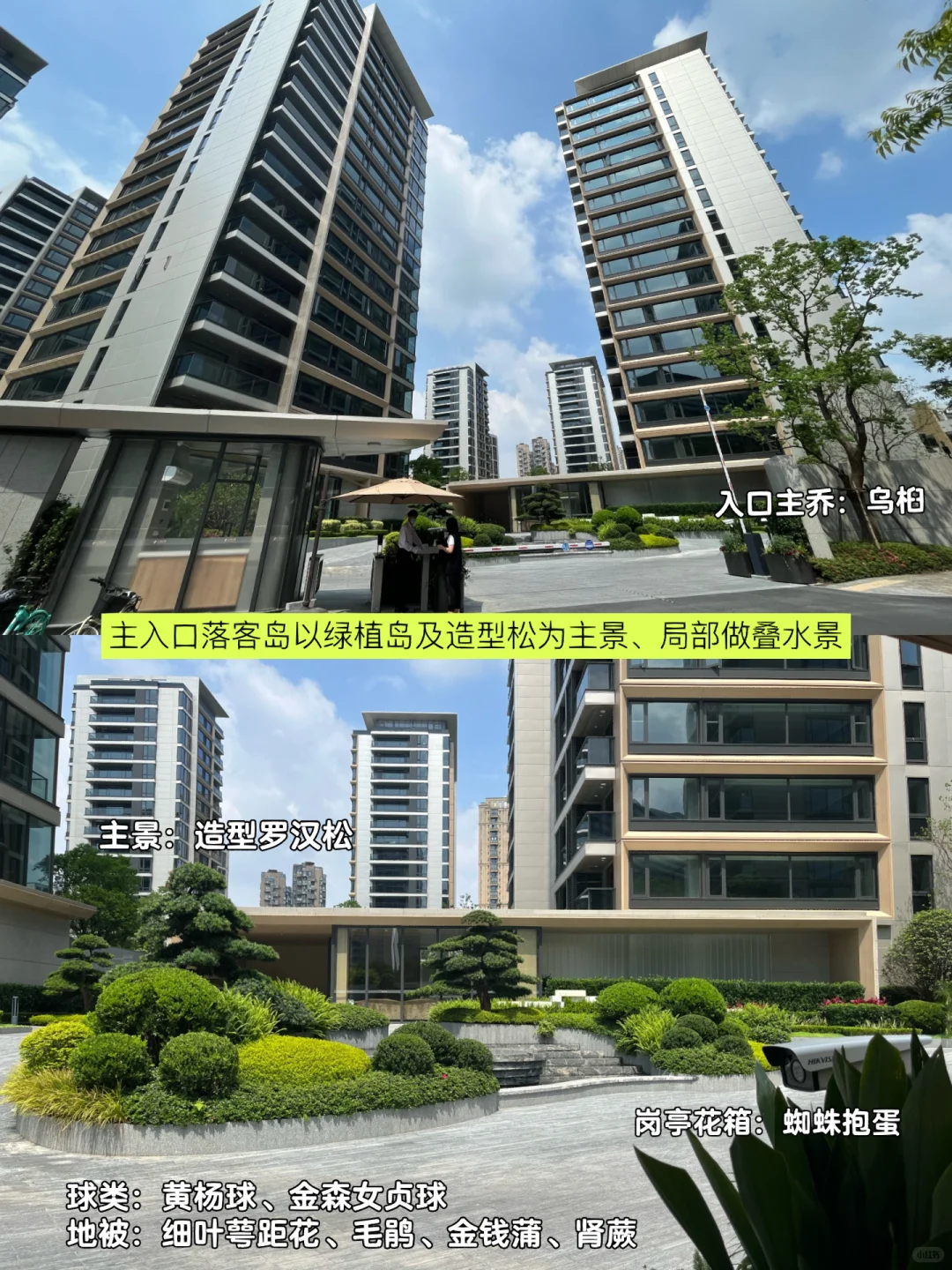 超详细的杭州豪宅的小区绿化解析～快收藏！