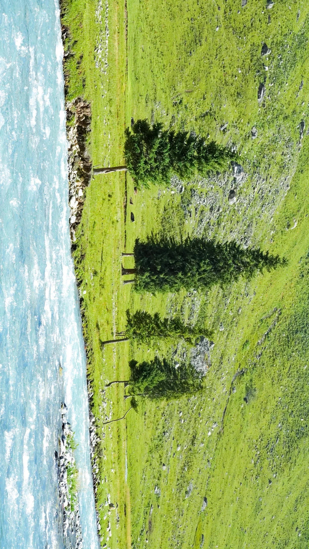 16:9全屏打开新疆的夏天
