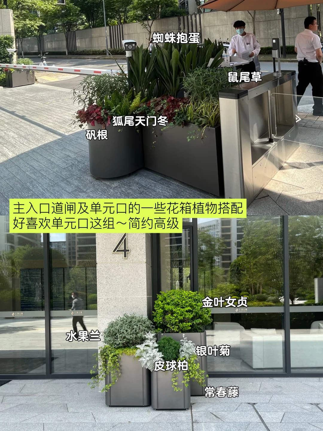 超详细的杭州豪宅的小区绿化解析～快收藏！