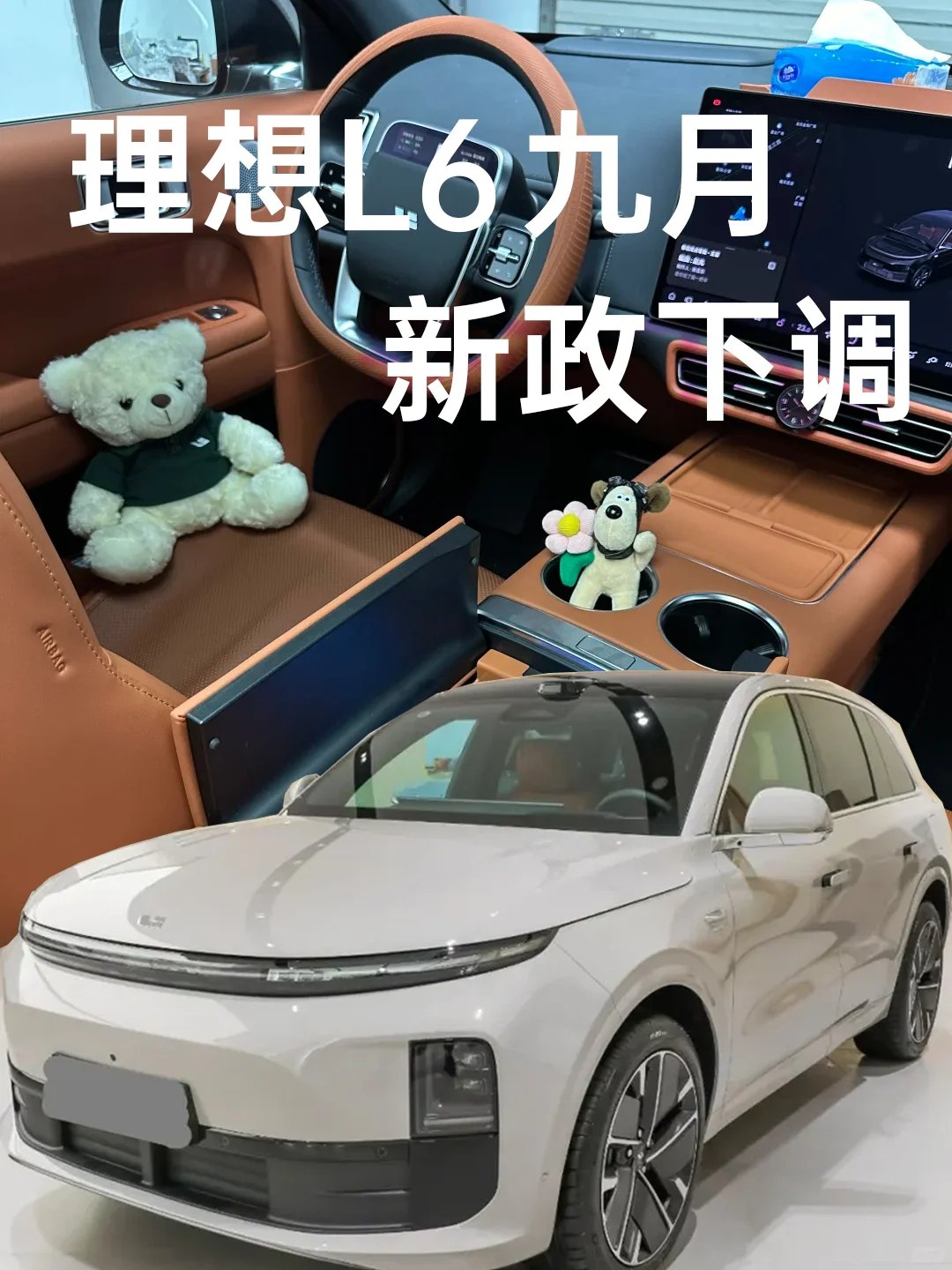 理想离职销冠甩出 15 条 L6 避坑干货