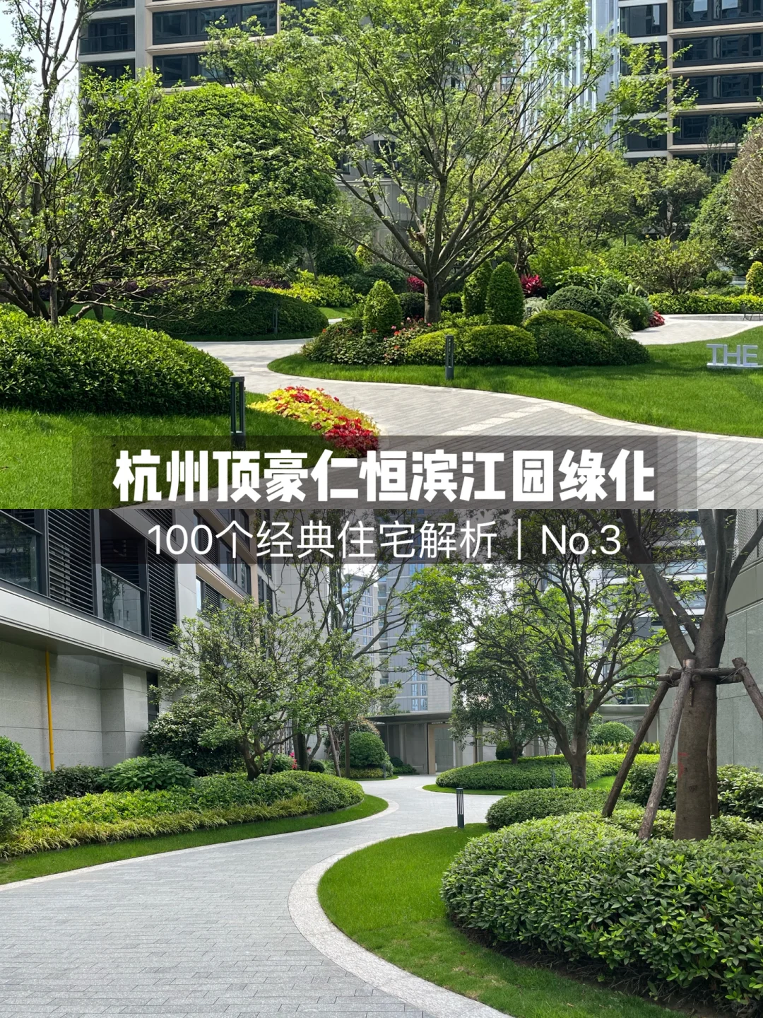 超详细的杭州豪宅的小区绿化解析～快收藏！