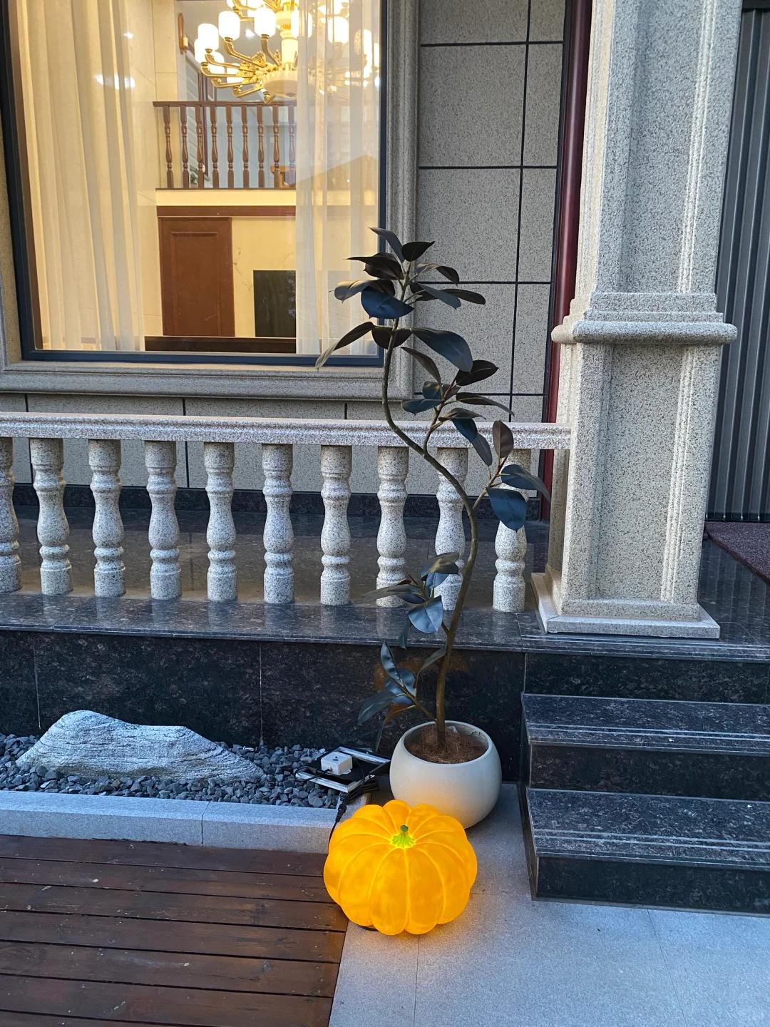 回农村！有个带院子的家真的很好～