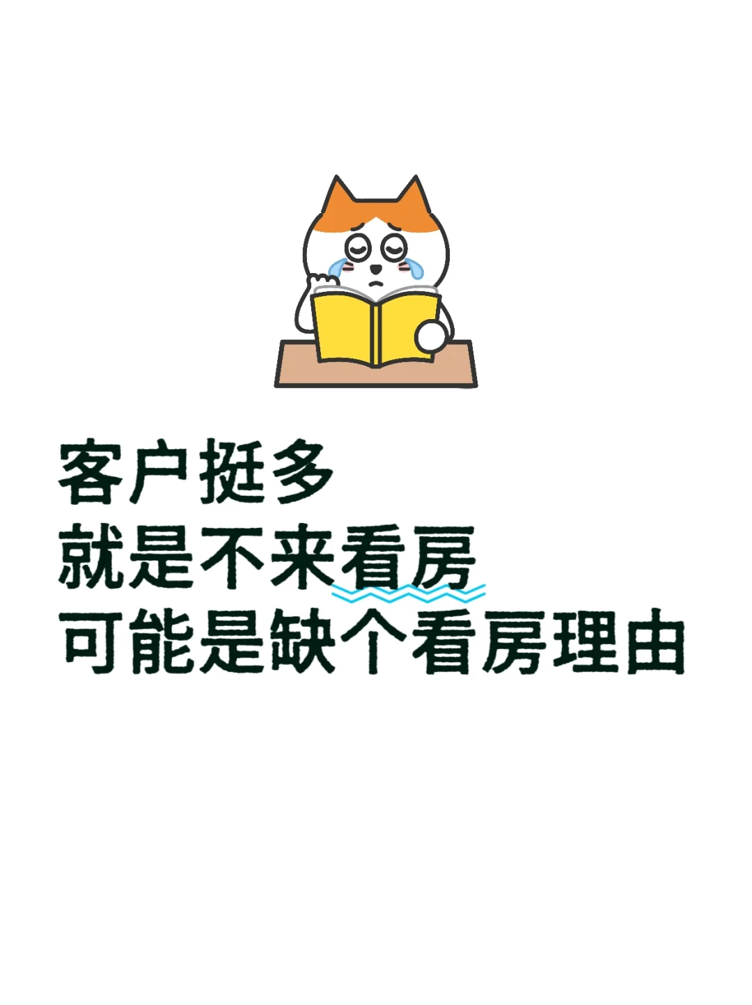 客户挺多，就是不来看房，可能是缺个看房理
