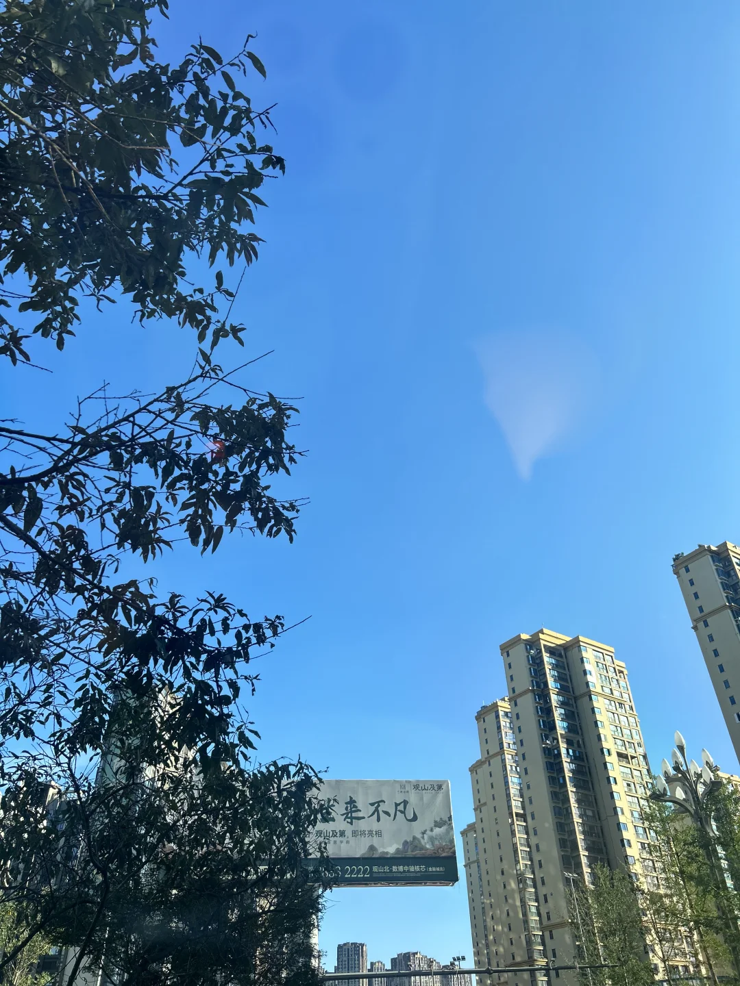 求租观山湖区写字楼165平到220平