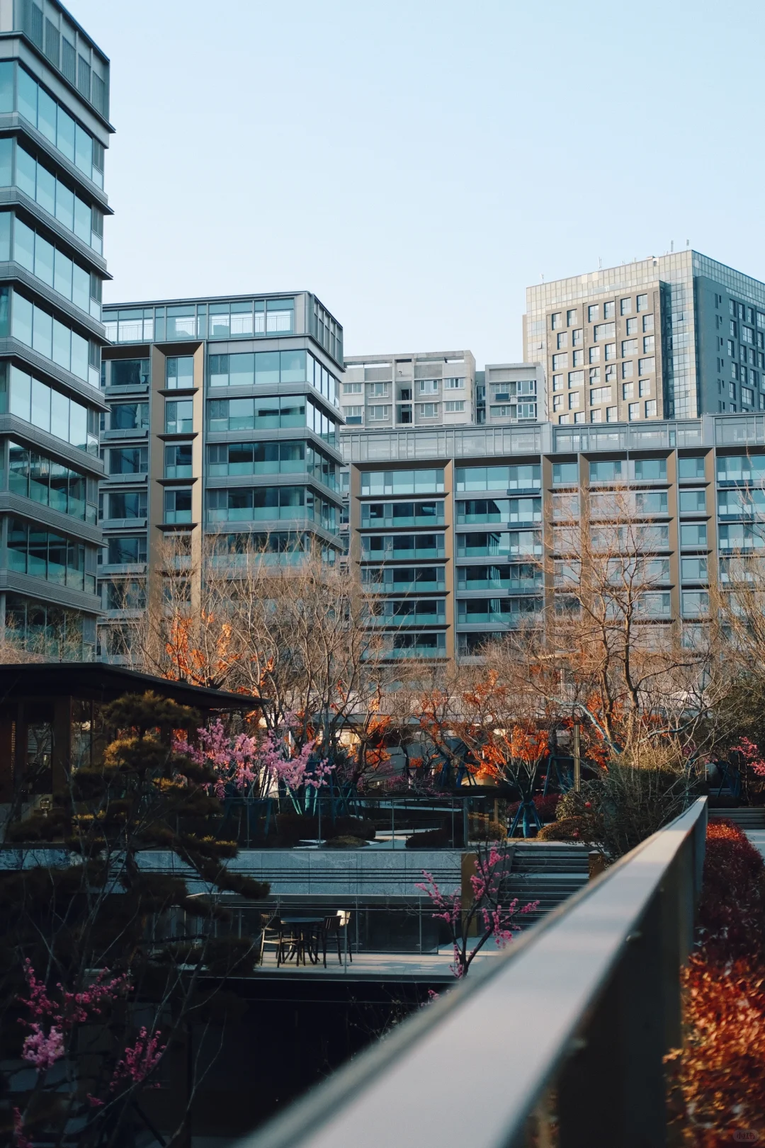 854天！终于等来了新家🏠