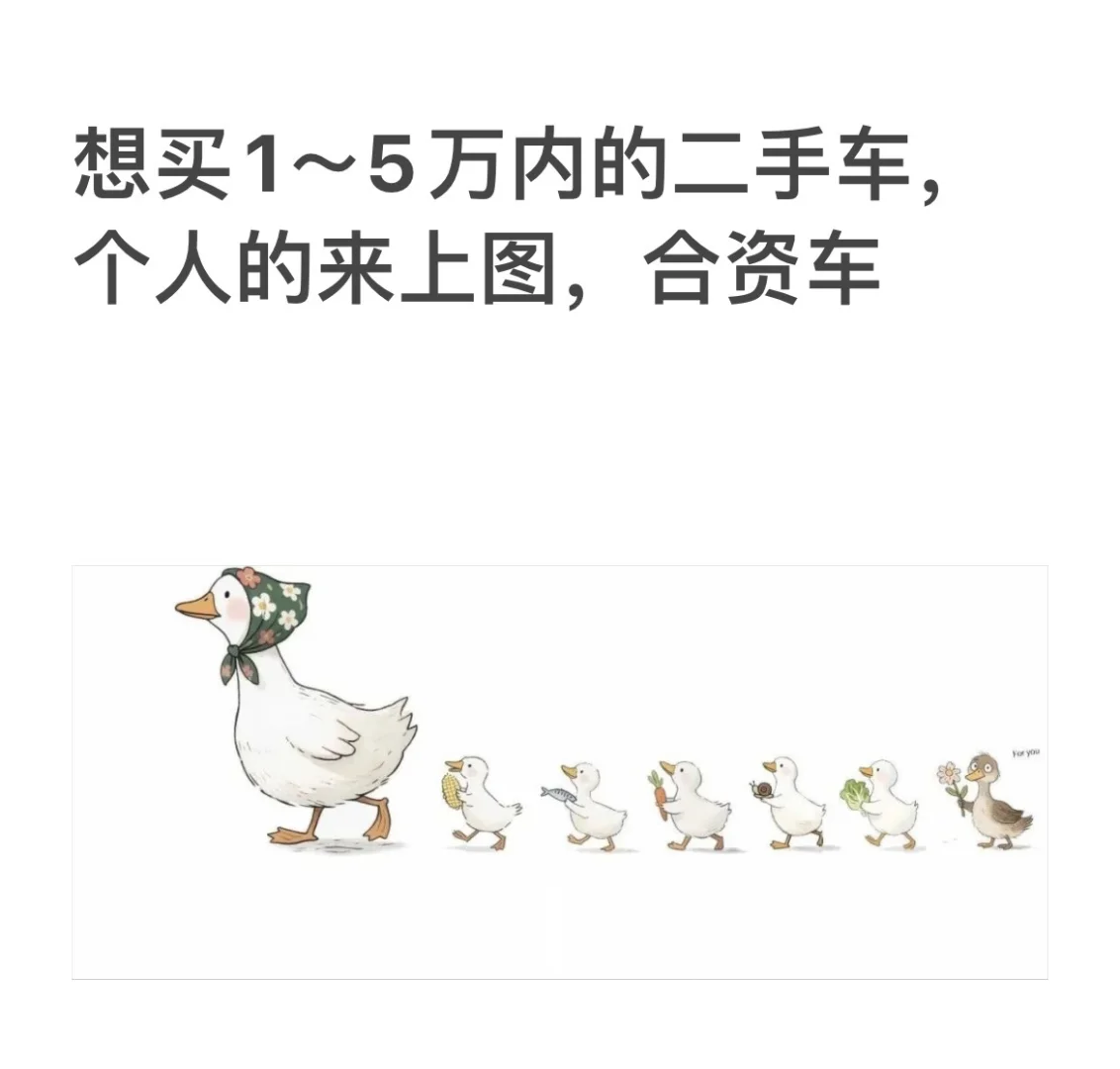 想要一辆二手车，个人上车！