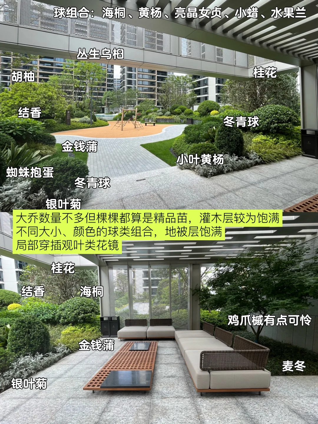 超详细的杭州豪宅的小区绿化解析～快收藏！