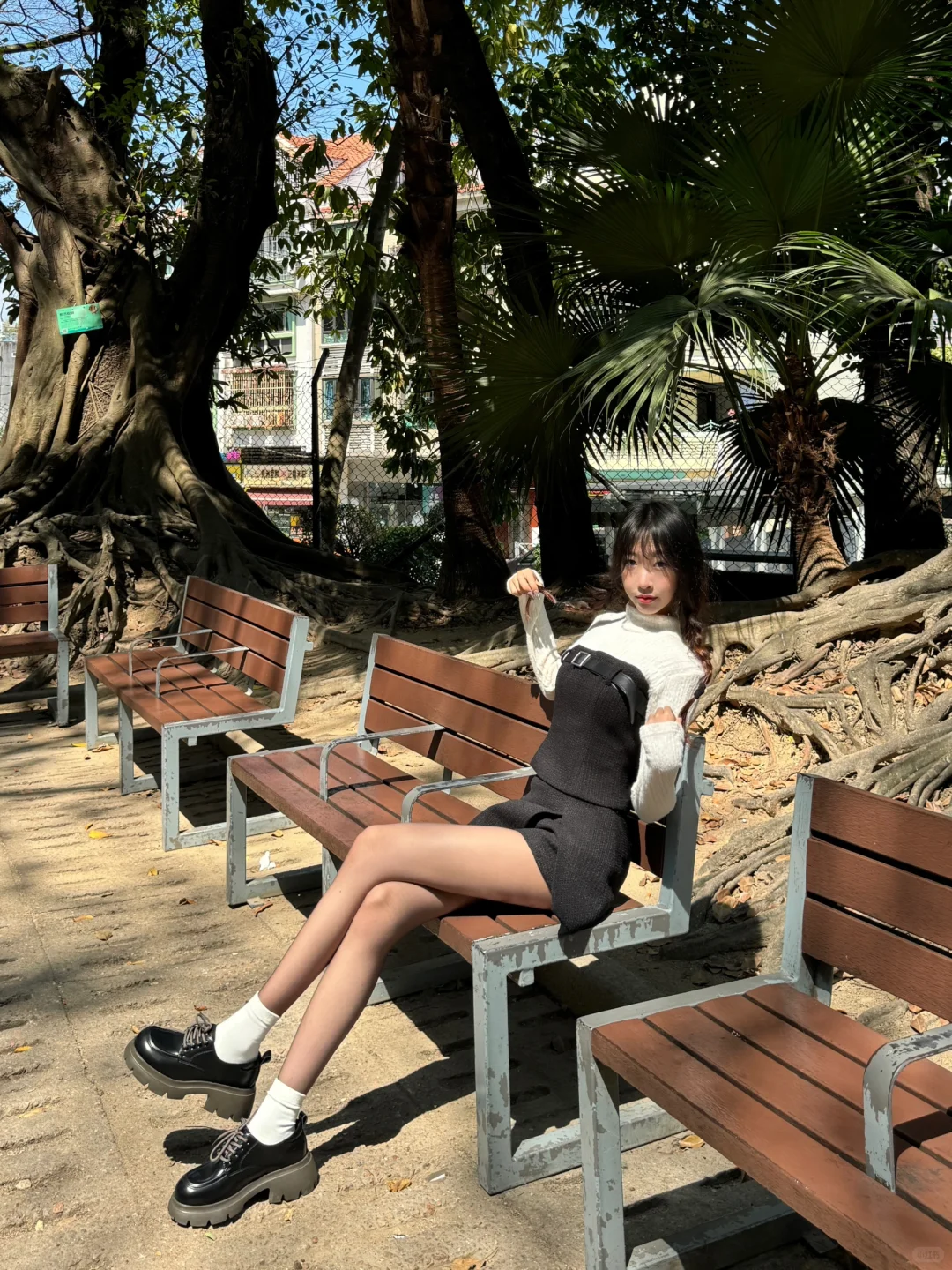 一起来晒太阳☀️