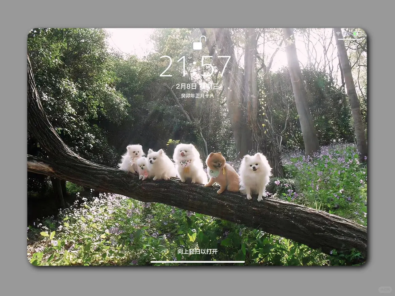 丰富一下电脑/ipad壁纸