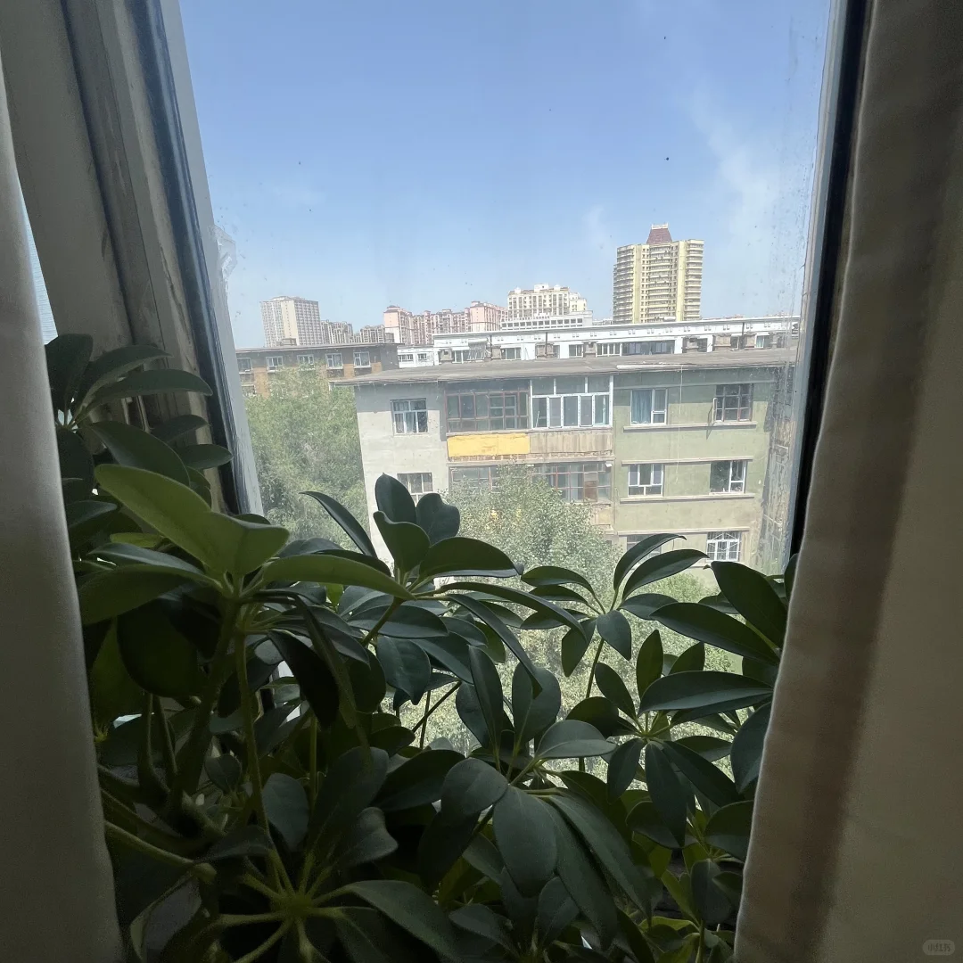 乌鲁木齐个人租房攻略❤️