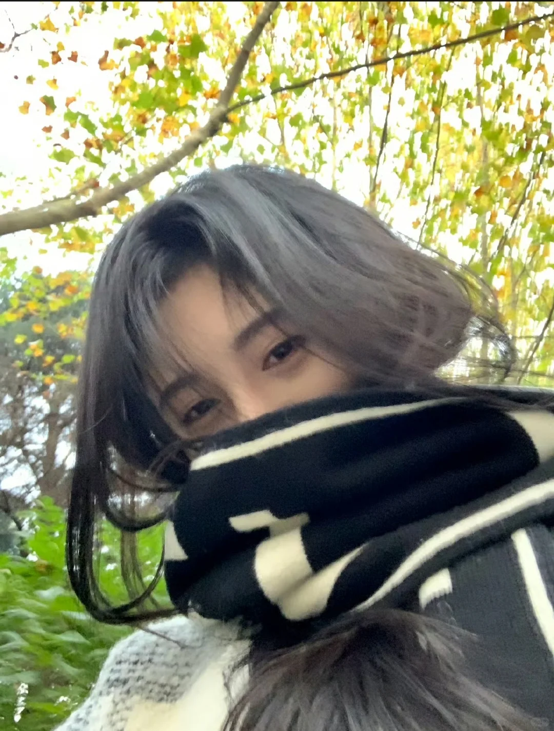 鞠婧祎头像