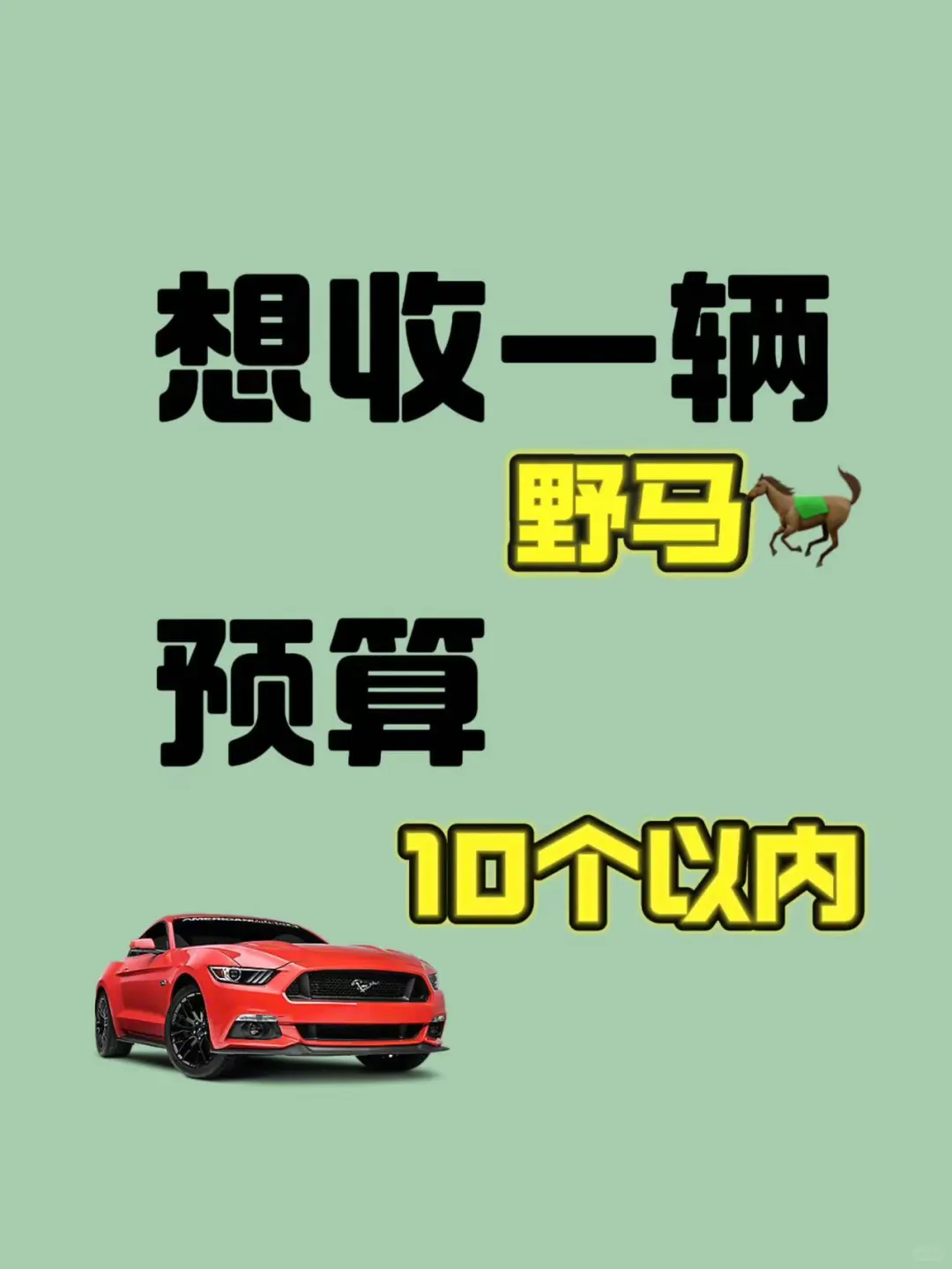个人求购一台福特野马