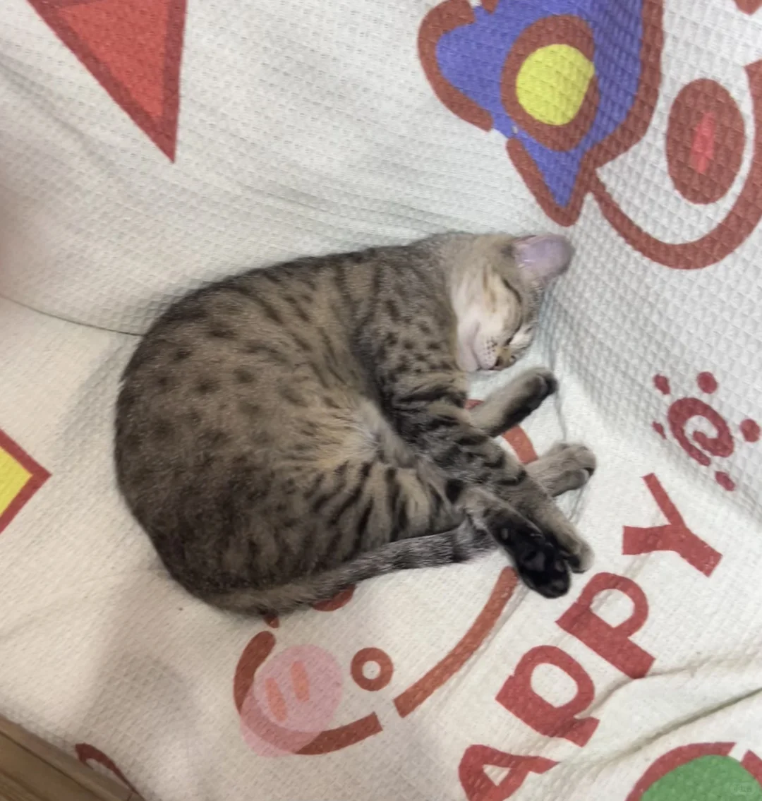 眼泪都砸不进你心里
