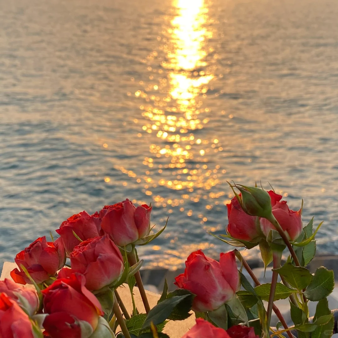 玫瑰🌹玫瑰我爱你💕