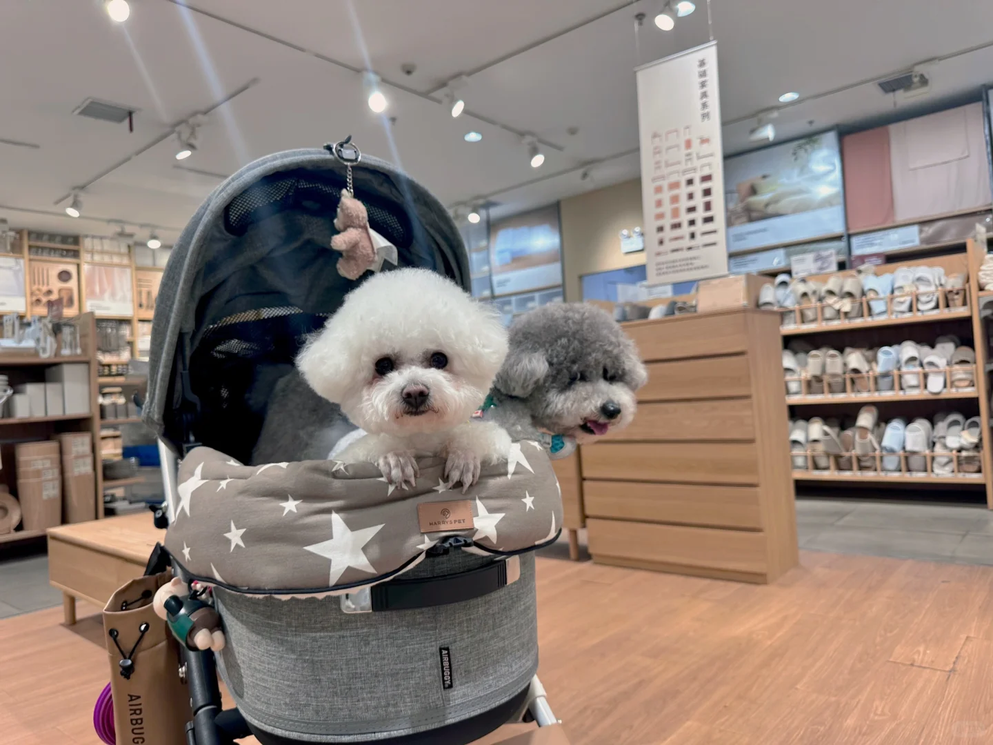 ▫️二宝·探店｜邯郸宠物友好商场