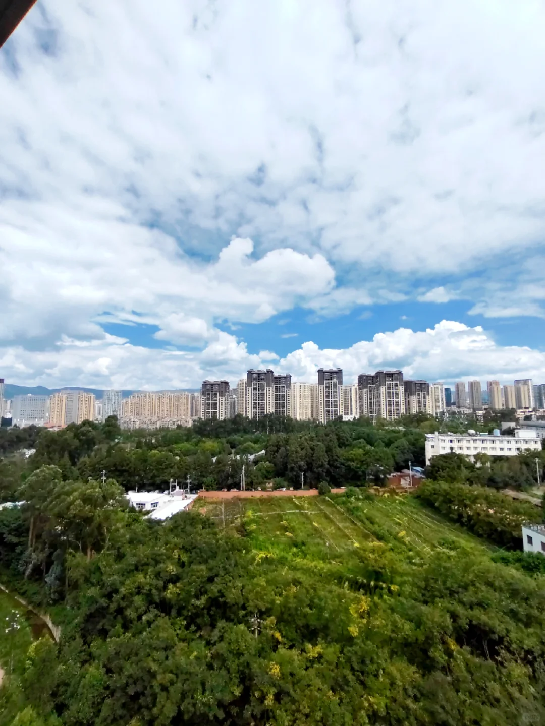 北市区这套电梯洋房 四房 简直刹疯了