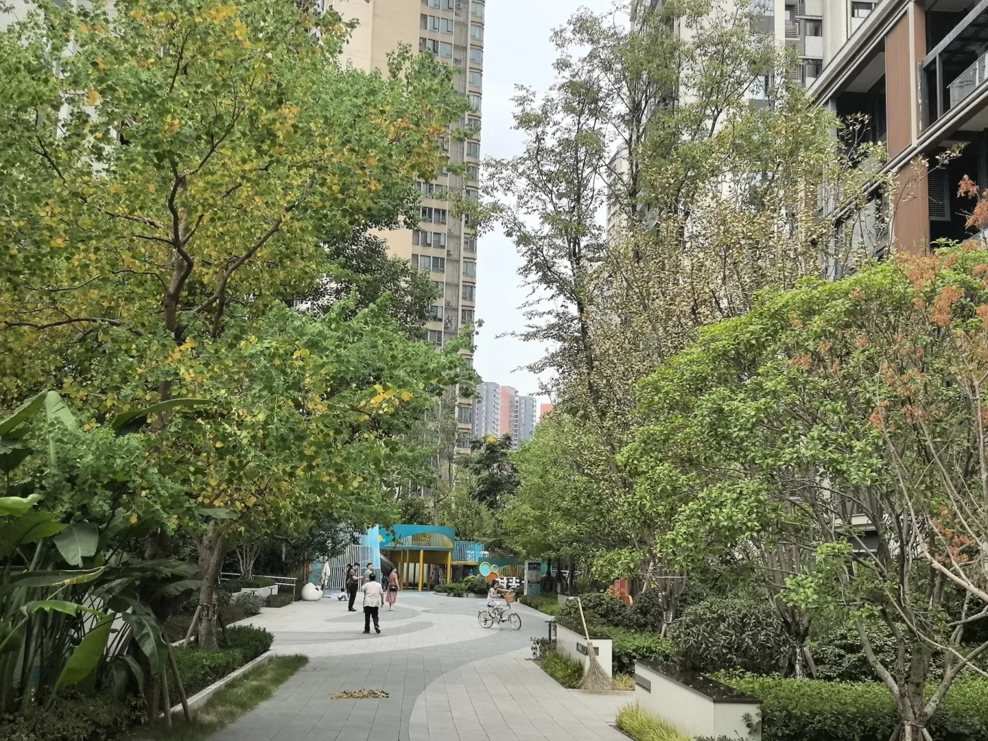 #房子是租的，但生活不是#