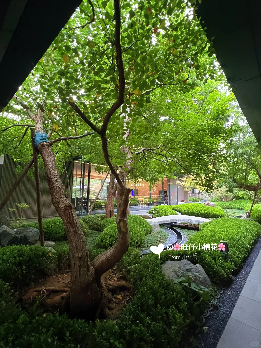宋式园林里的交房仪式，体验到了家的尊崇感