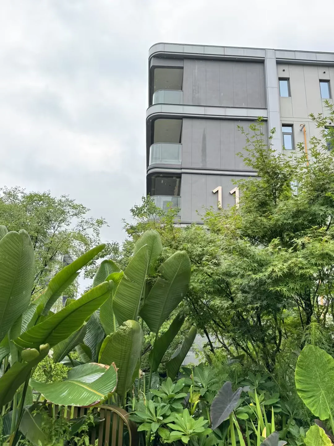 成华区这个洋房🏡小区环境太巴适啦
