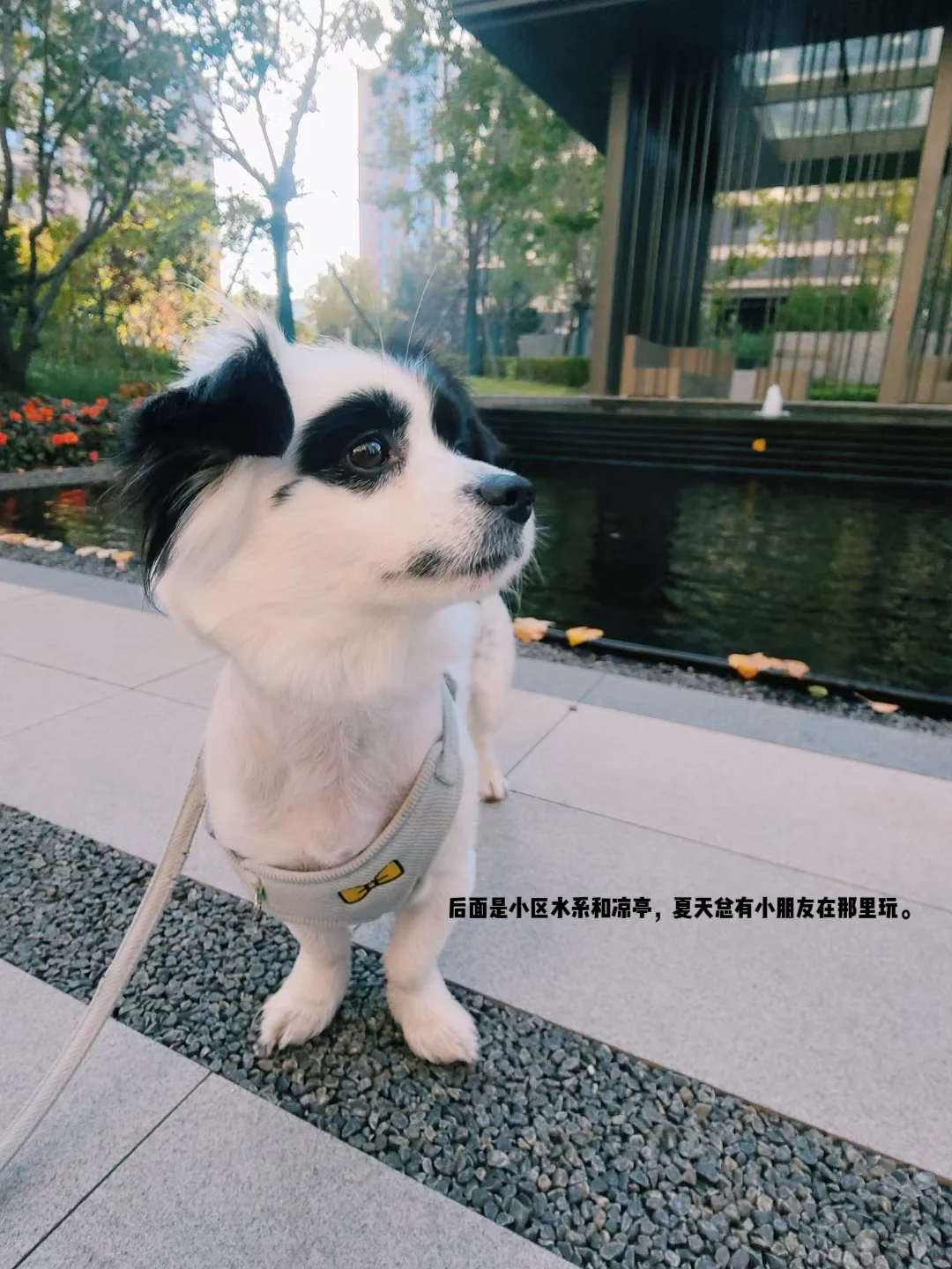 买房小白必看！这些坑我试过了！