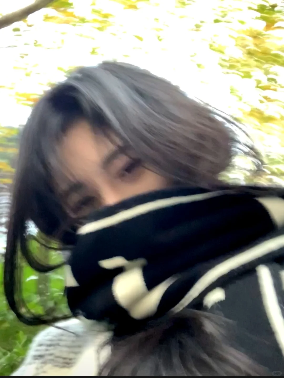 鞠婧祎头像