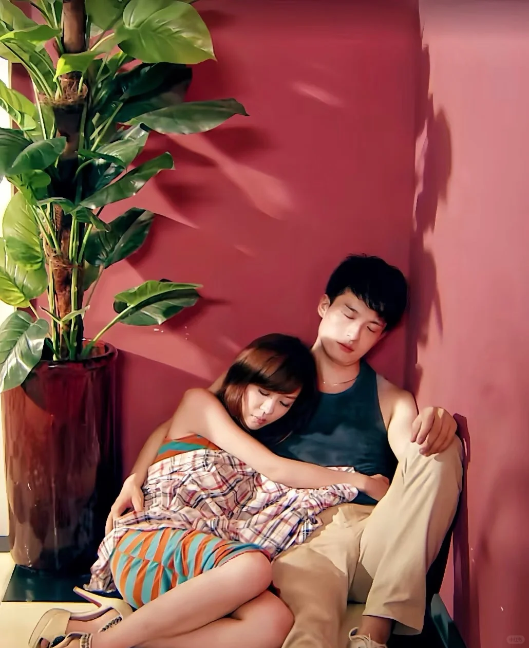 💓婚礼BGM《爱情公寓》｜青春圆满收官啦