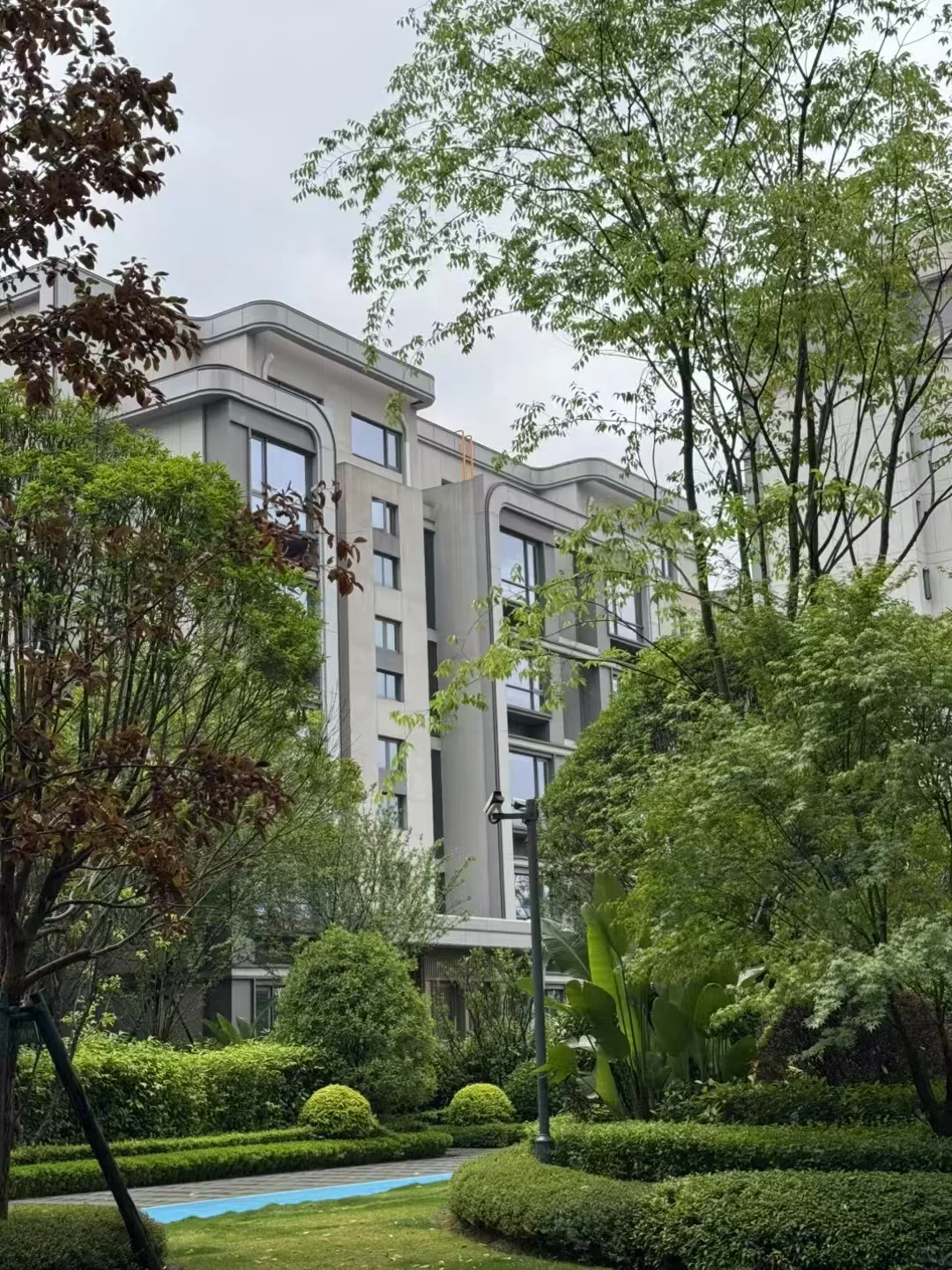 成华区这个洋房🏡小区环境太巴适啦