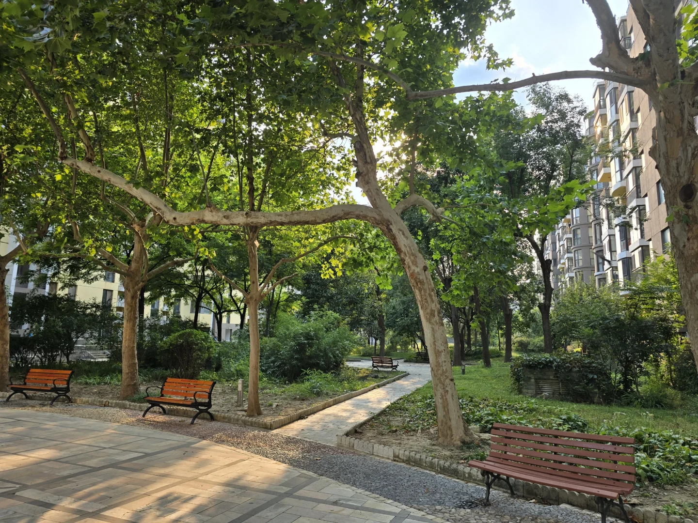 望京房东直租