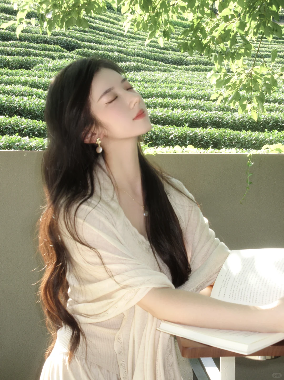 美的本质是向上的生命力🍃