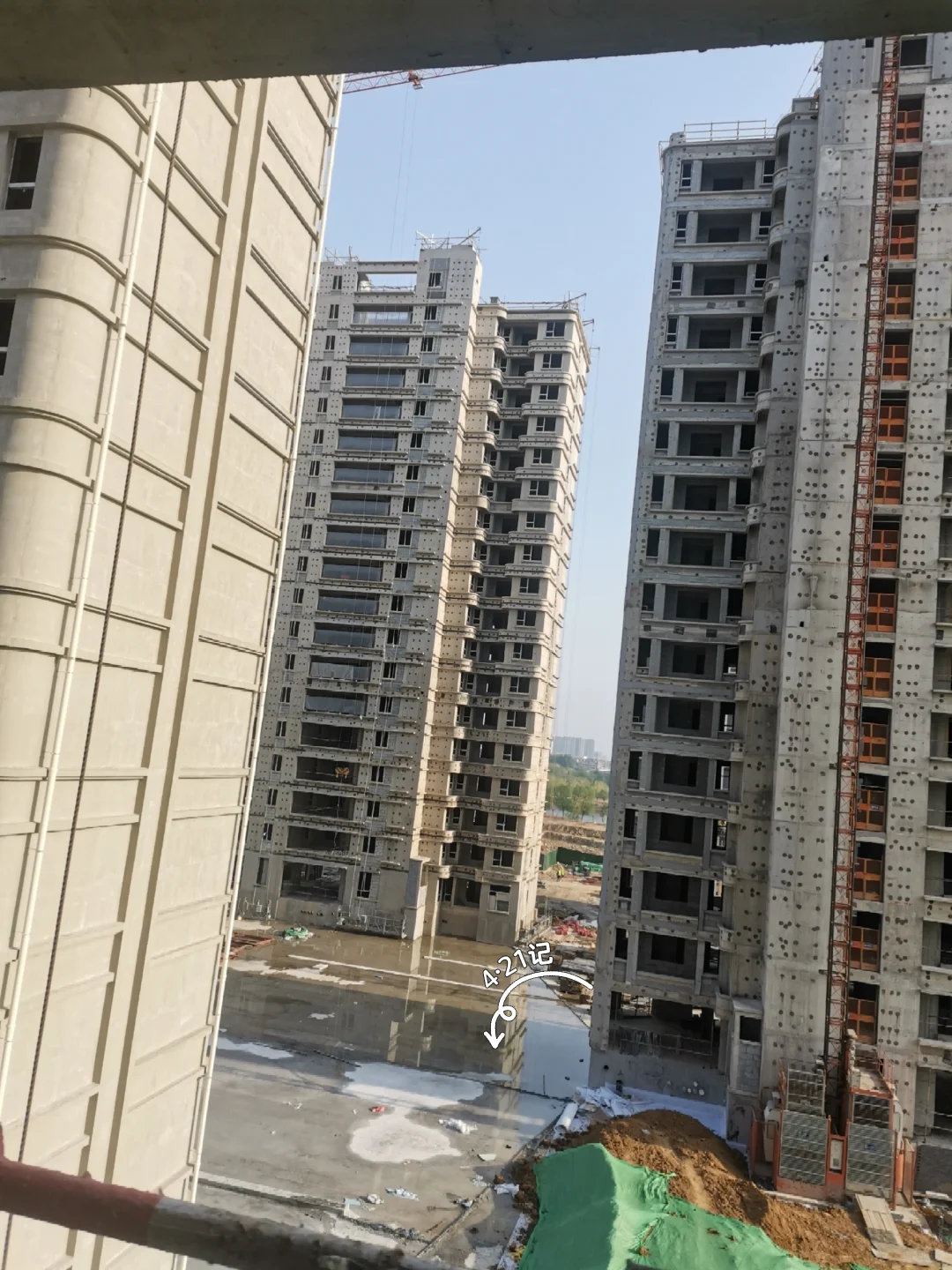 新家成长记录3🌿