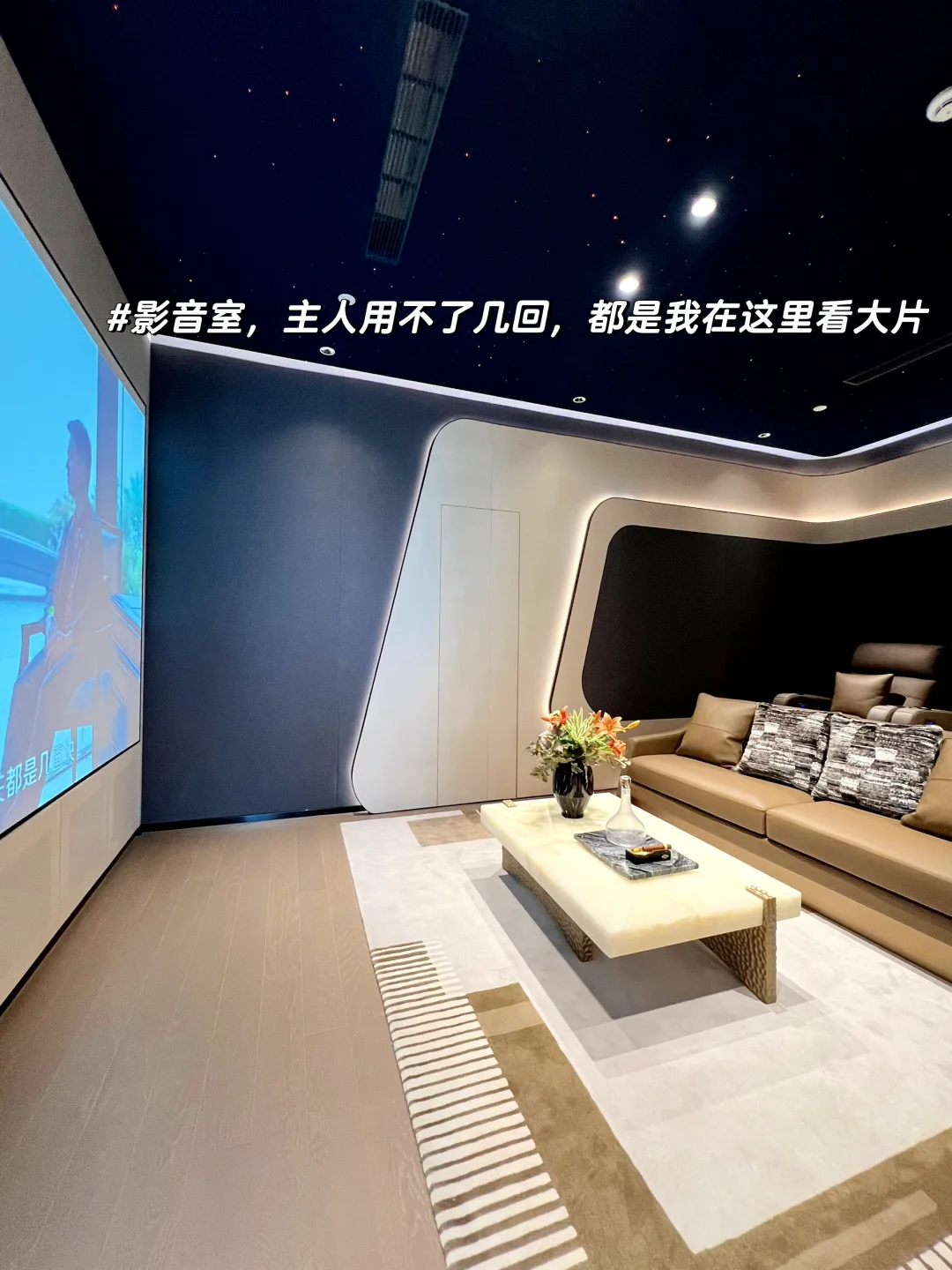 重生之我，800方豪宅做住家保姆的凡尔赛日常