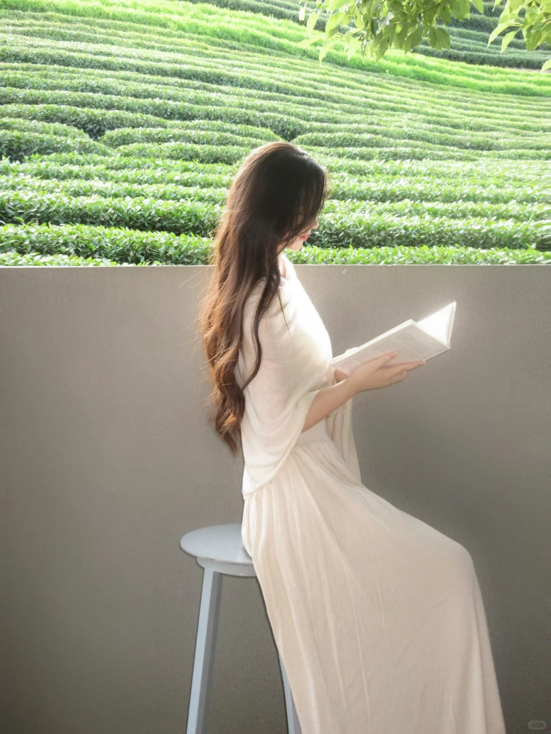美的本质是向上的生命力🍃