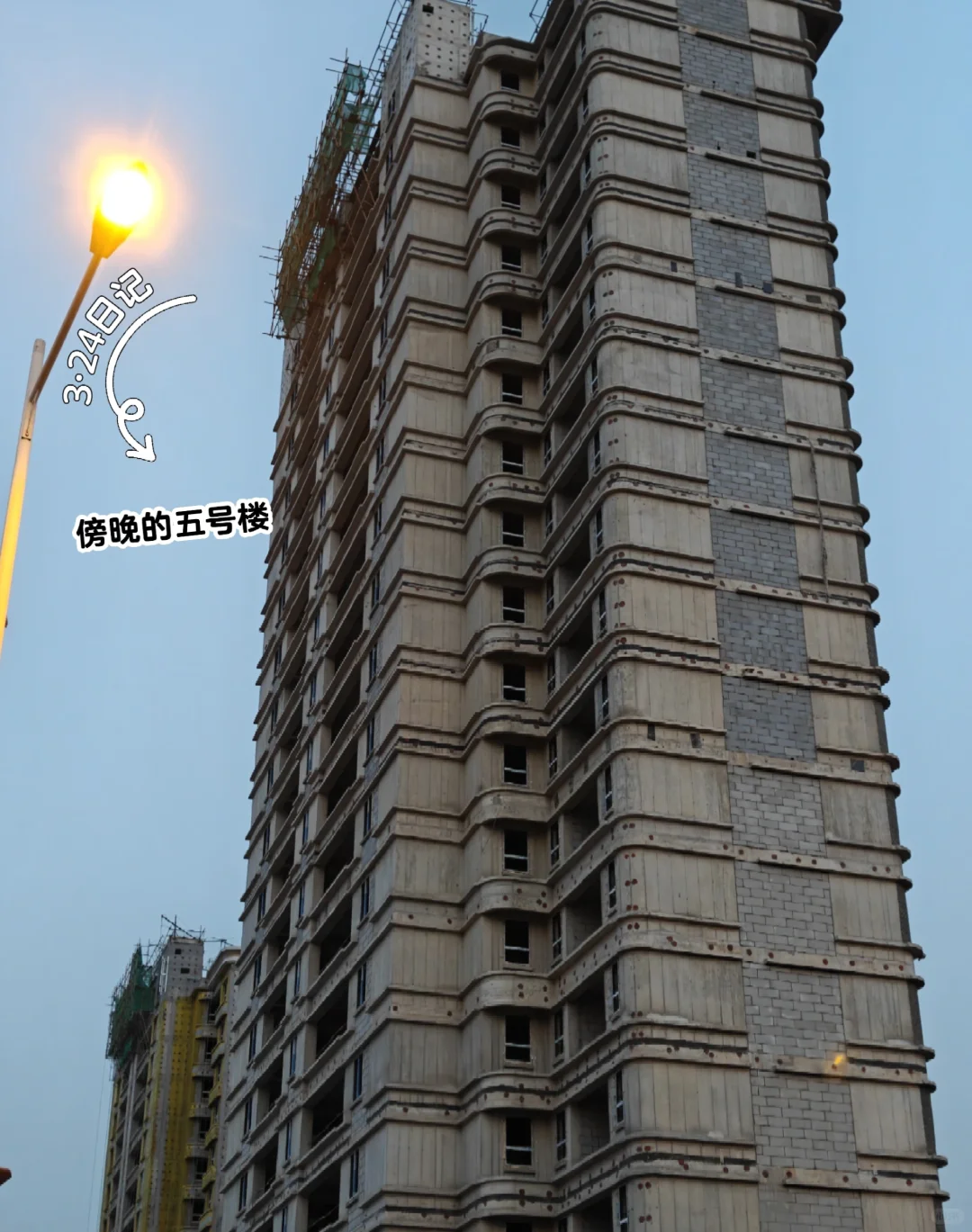 新家成长记录3🌿