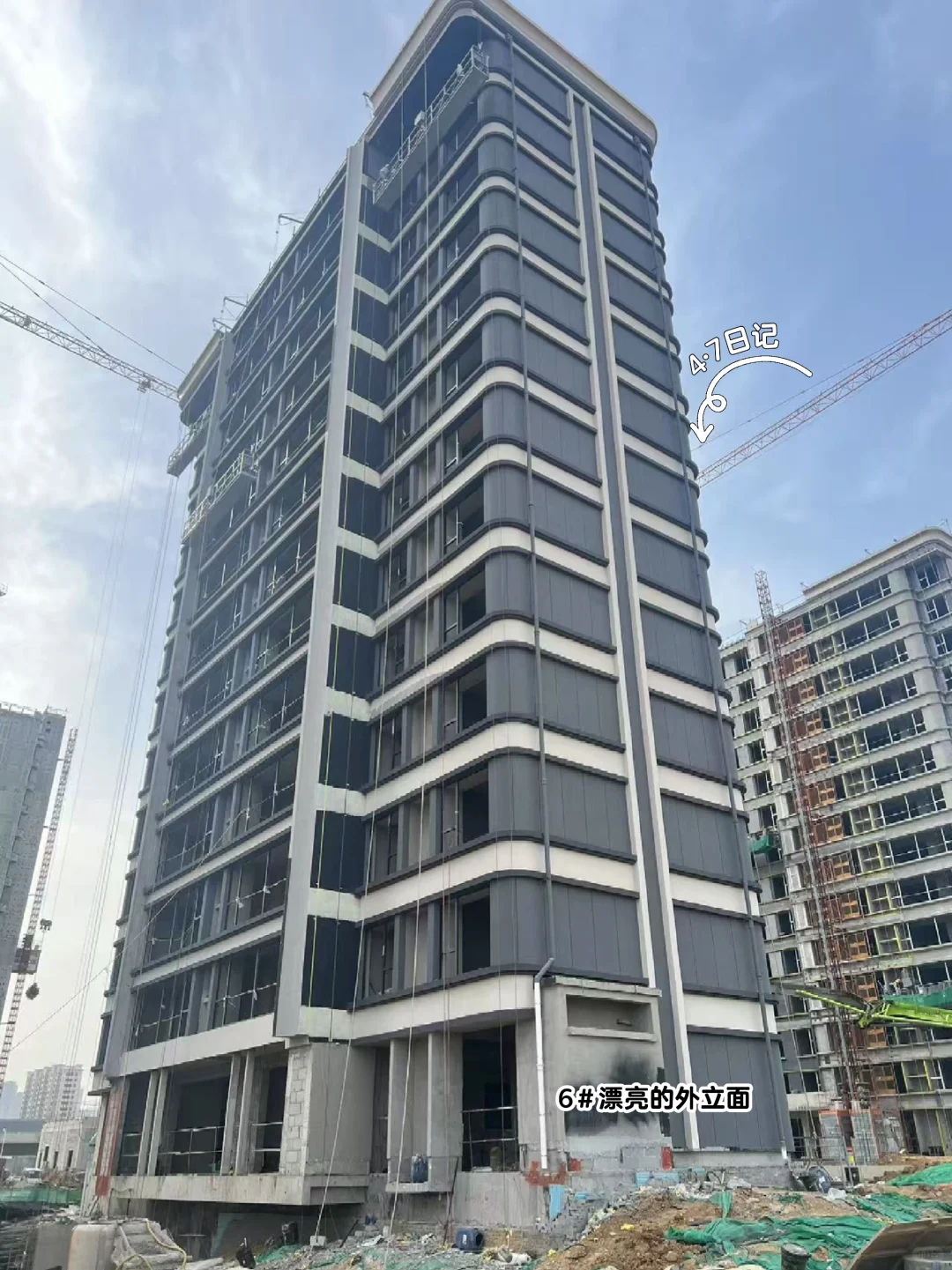新家成长记录3🌿