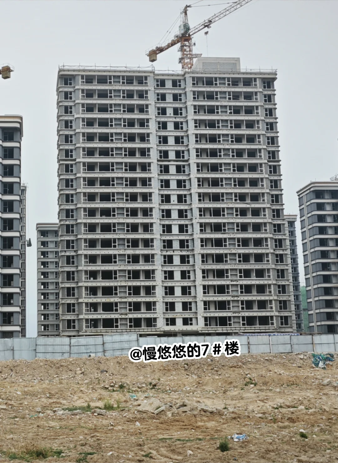 新家成长记录3🌿