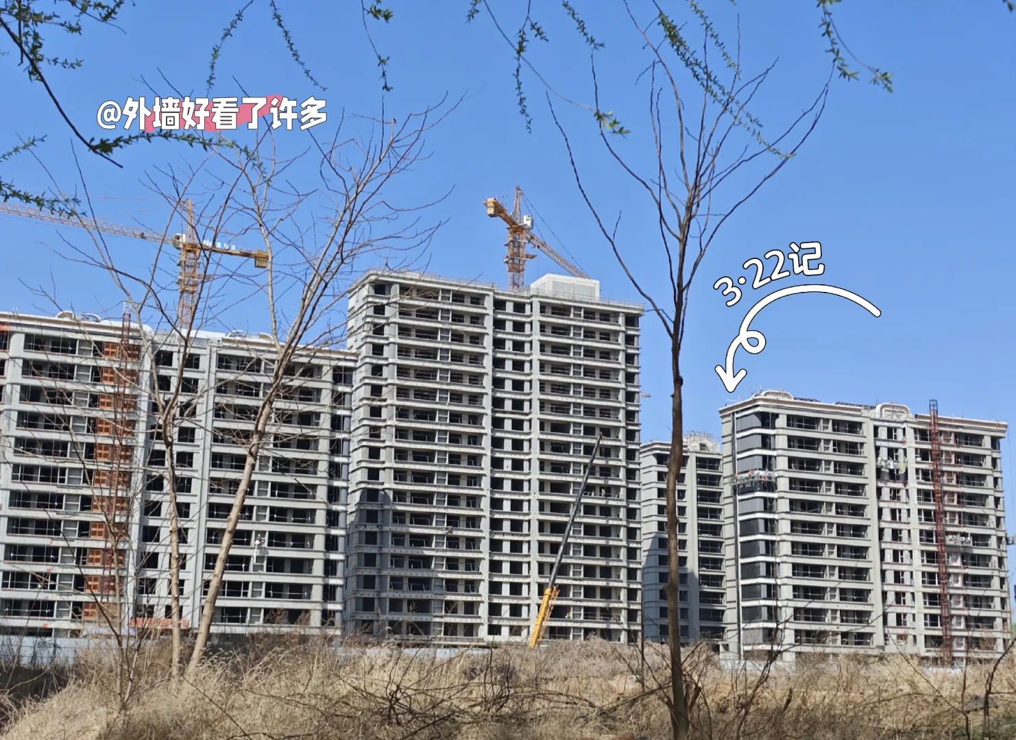 新家成长记录3🌿