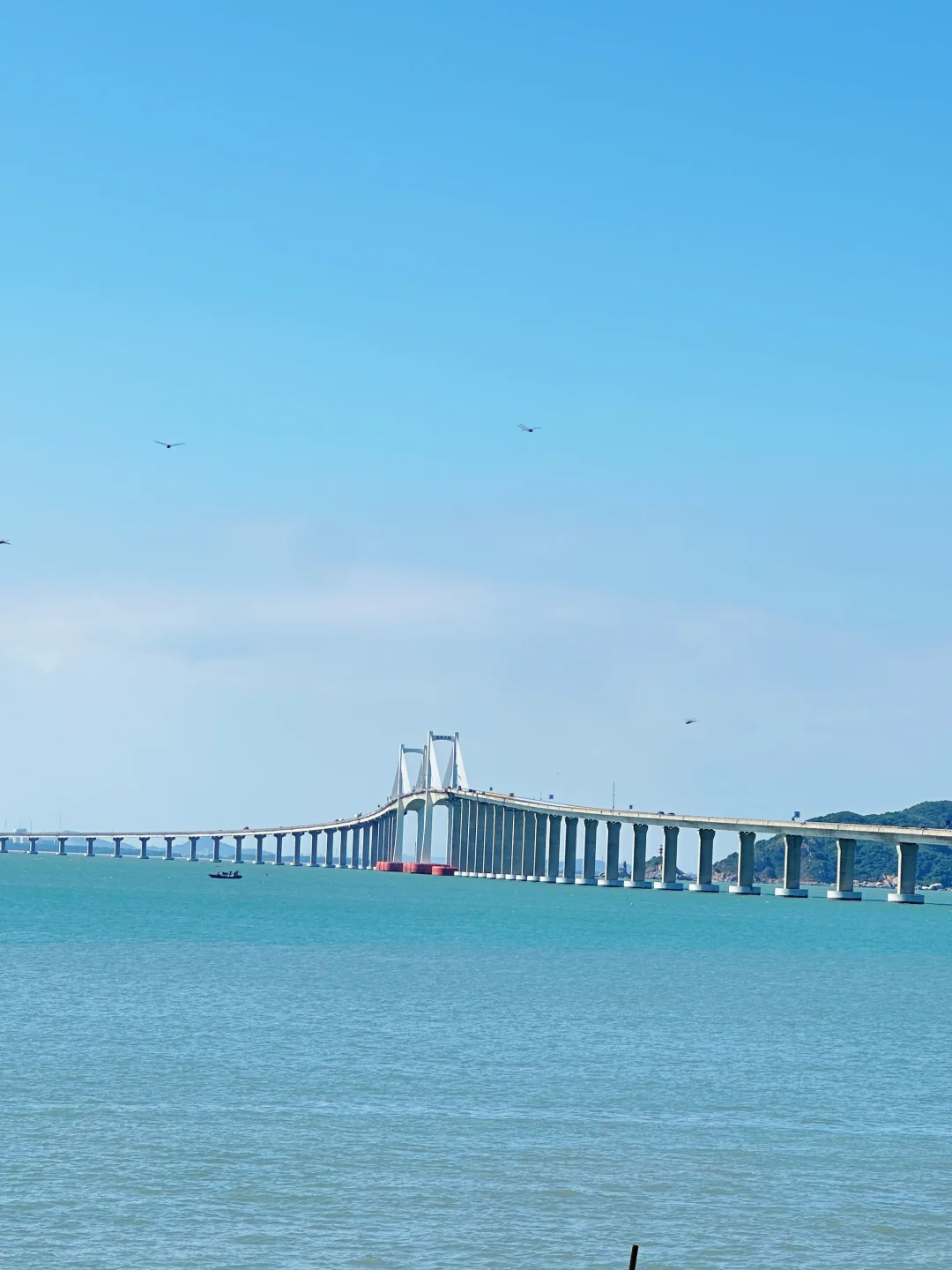 海边风景图 右滑➡️