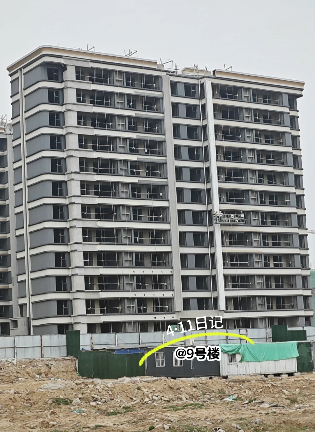 新家成长记录3🌿