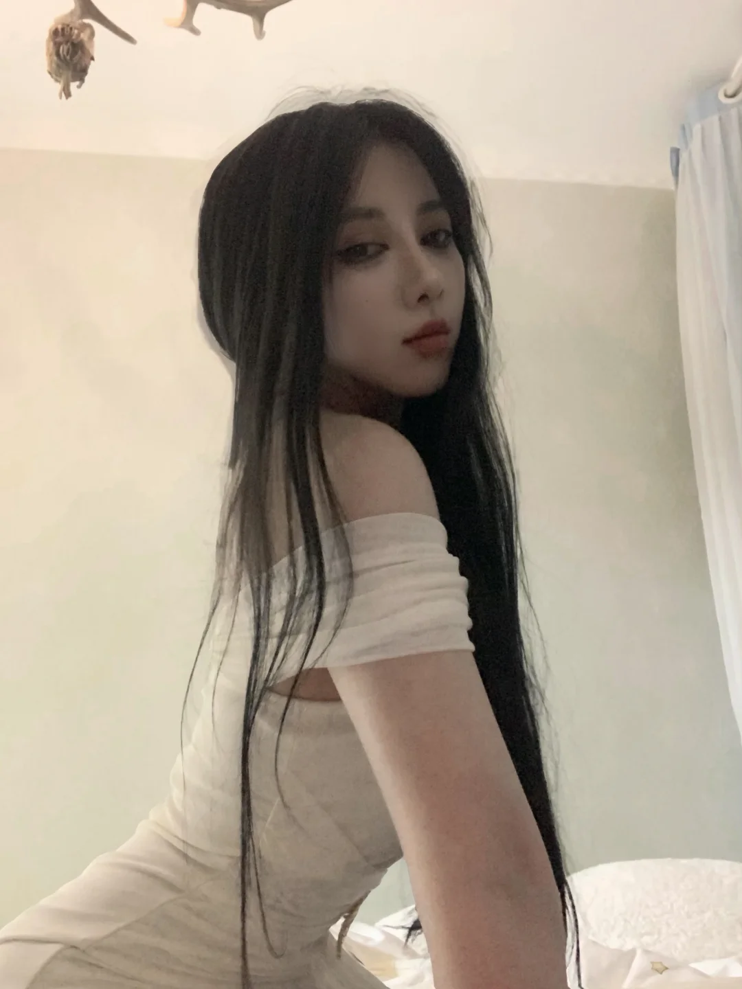 小猫在睡觉
