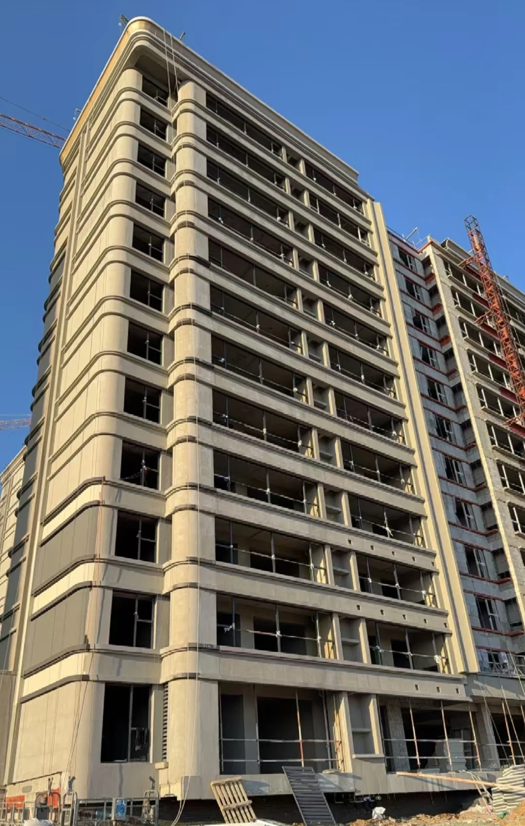 新家成长记录3🌿
