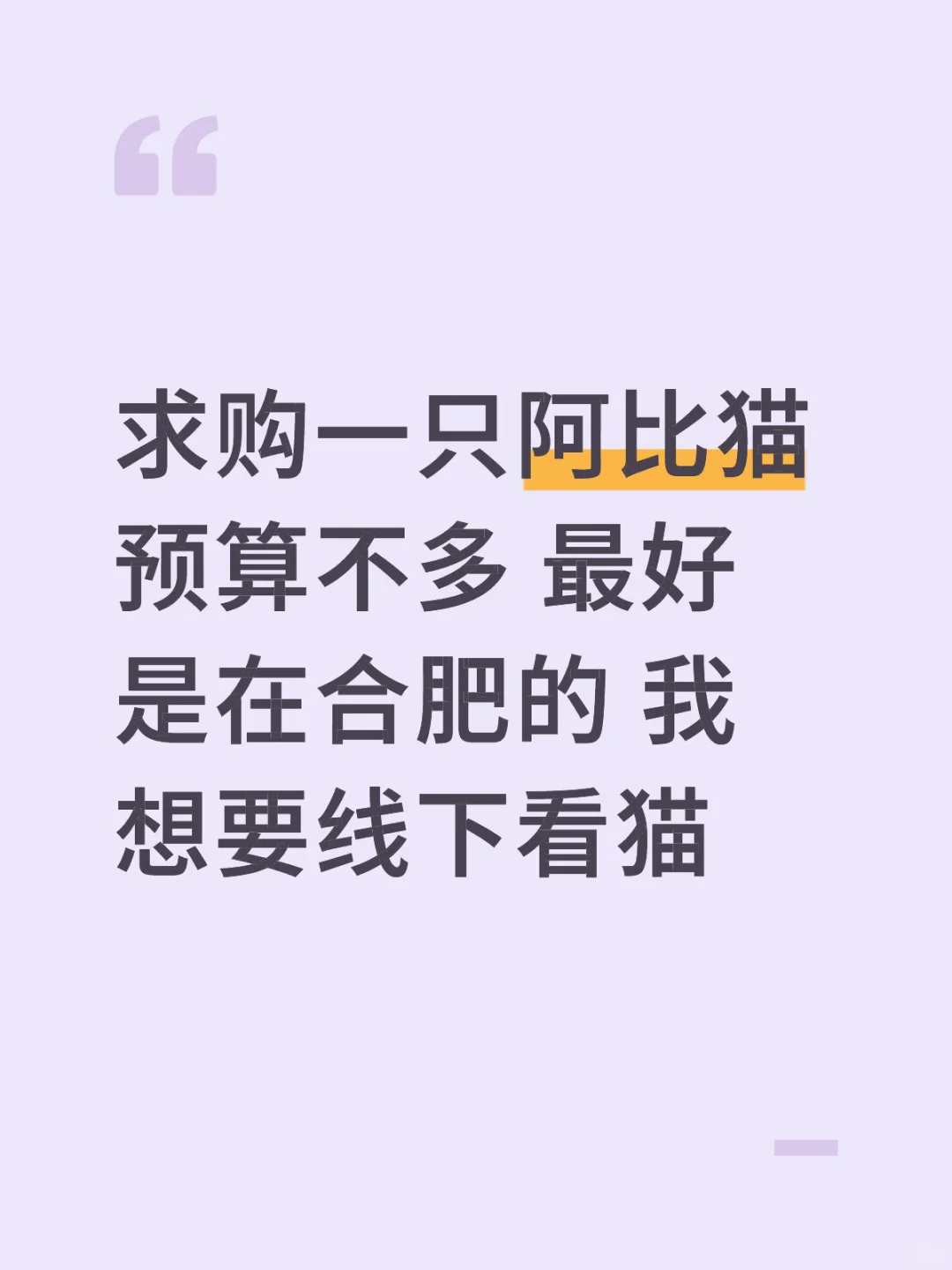 求购阿比猫