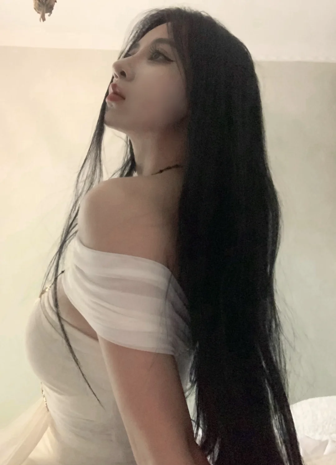 小猫在睡觉