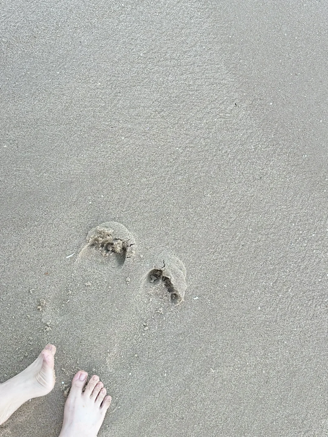 海边风景图 右滑➡️