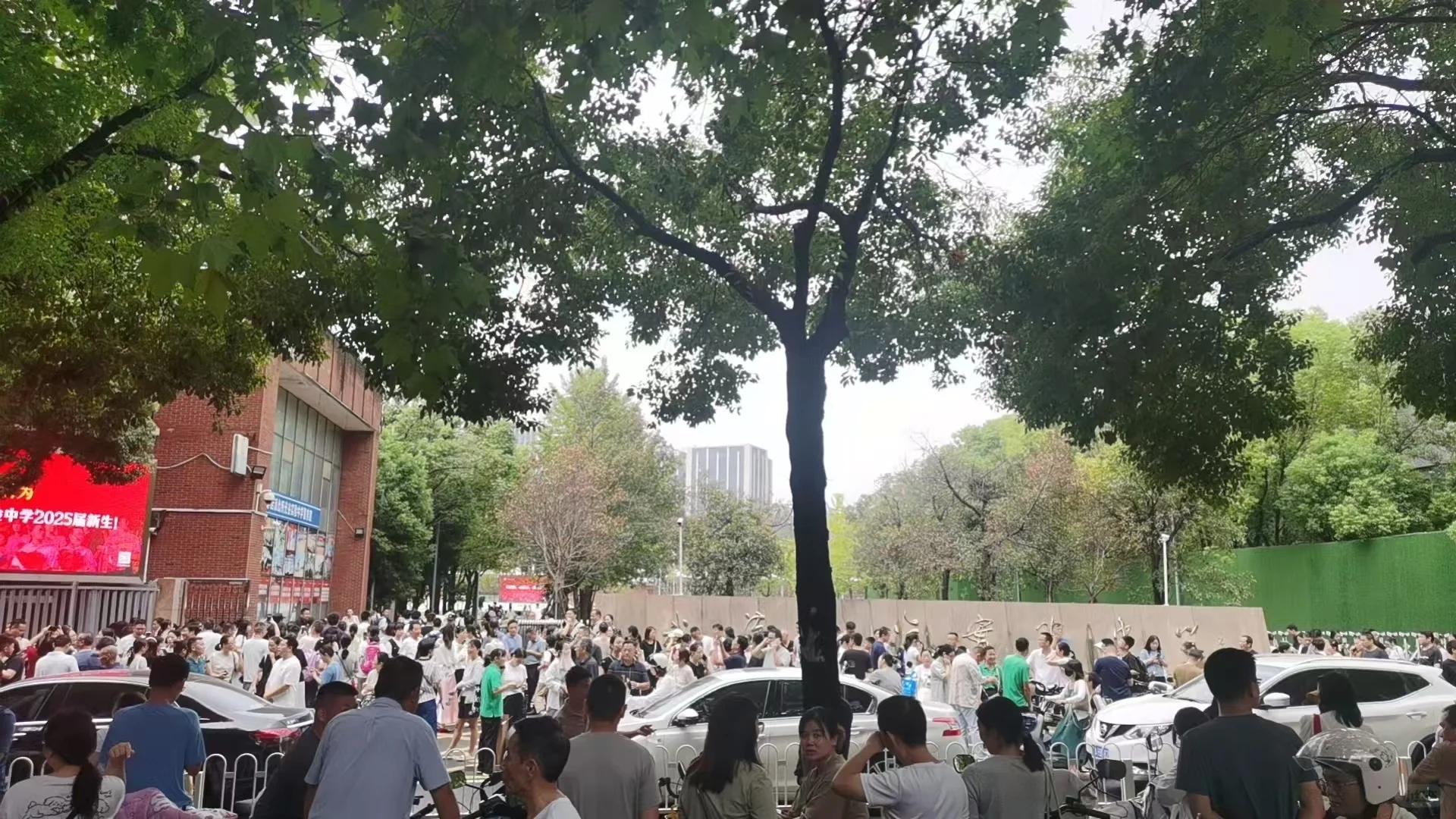 光谷实验的娃真的感谢政府！为了卖房也是拼